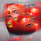 Tomatoe 6