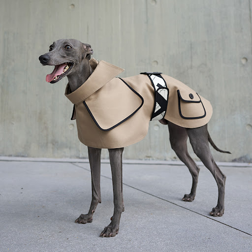 Title 3, Spring and Autumn Camel Velcro Windbreaker. Pro...