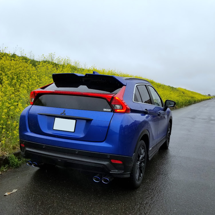 エクリプスクロスの菜の花と愛車・ウクライナに平和を🇺🇦・今日のおやつ・今日も雨☔️・十二天神社の🌸に関するカスタム事例の投稿画像4枚目