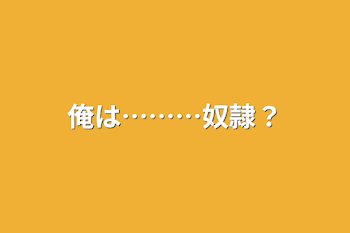 俺は………奴隷？