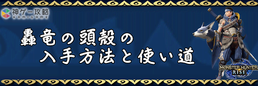 轟竜の頭殻