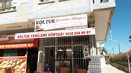 Koltuk Yenileme Dünyası