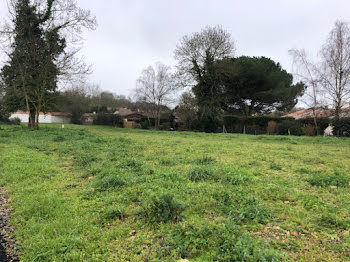 maison neuve à Salles-sur-Mer (17)