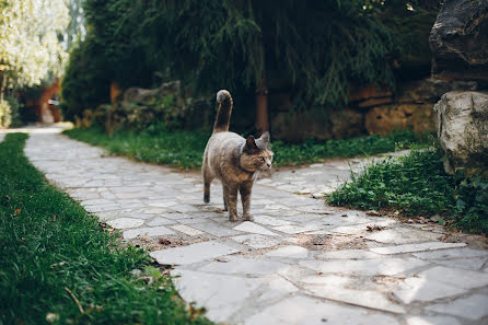 Svatební fotograf Yaroslav Kalinovskiy (kalinovskyph). Fotografie z 26.října 2019