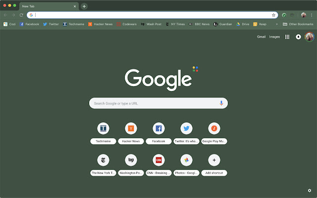 Material Nord Green chrome extension