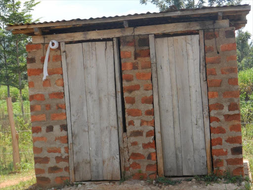 A two-door toilet at St. Michael Apatit Mixed Secondary School in Teso South. /FILE