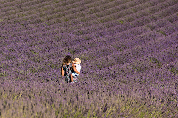 In un mare di lavanda... di Pi_M_Pi