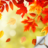 Hidden Object - Autumn Garden 1.1.78b