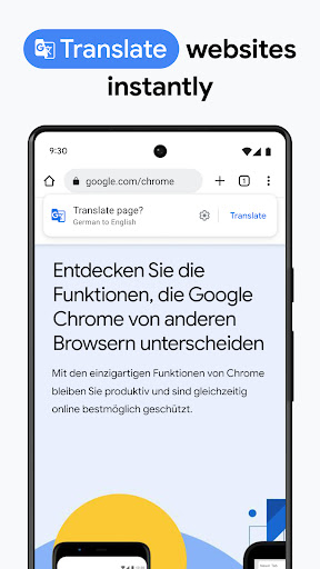 Screenshot Google Chrome