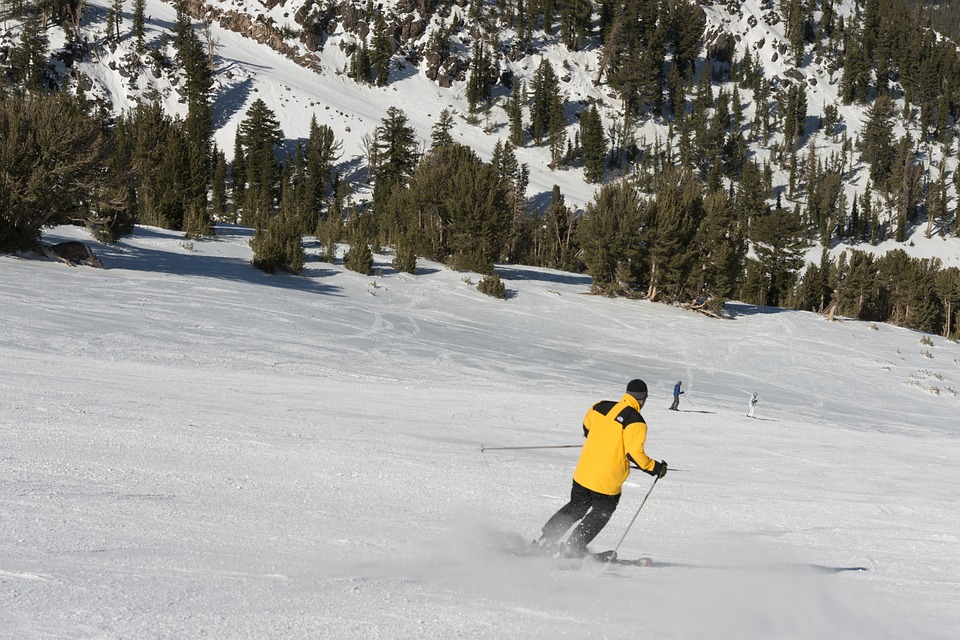 Skiing, Skiers, Downhill, Snow ...