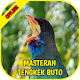 Masteran Tengkek Buto Offline Install on Windows