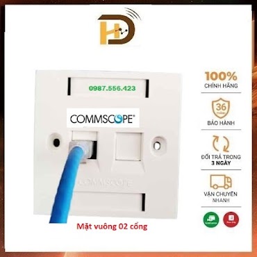 Mặt Ổ Cắm Mạng Hình Vuông 1 Cổng Chính Hãng Amp/Commscope