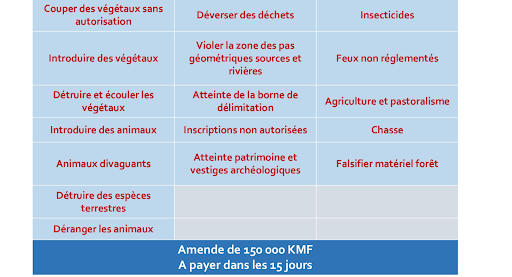 Infractions et amendes tableau