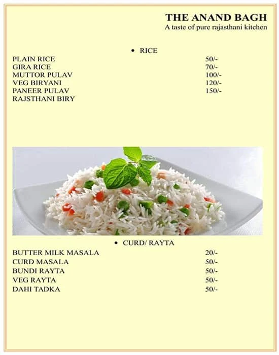 The Anand Bagh Food Junction menu 