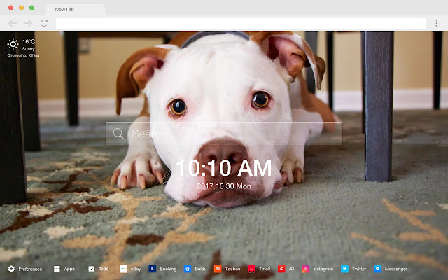 Clever Puppy New Tab Page HD Pop Pets Theme