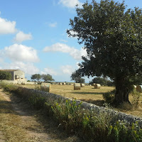 il fieno e'in cascina di 