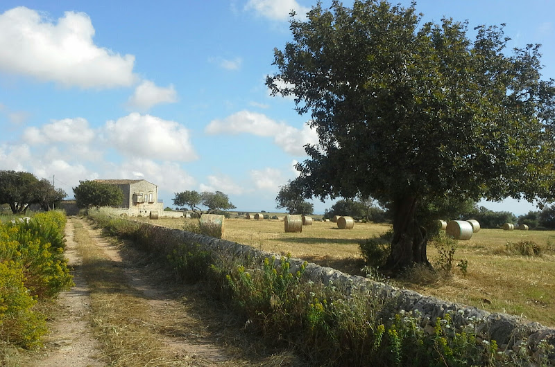 il fieno e'in cascina di -----