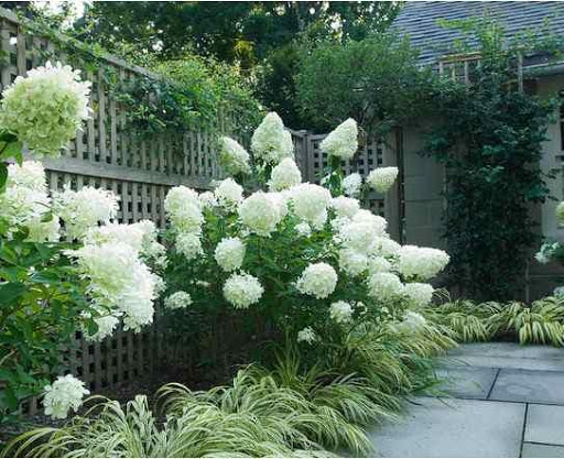 DIY Landscape Designs