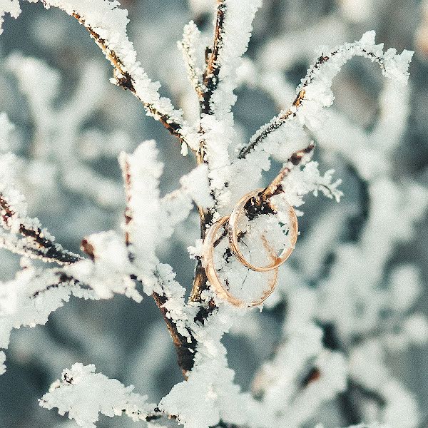 Bryllupsfotograf Anton Demin (adee). Bilde av 8 januar 2016