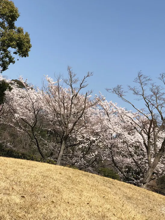 「もうやめて」のメインビジュアル