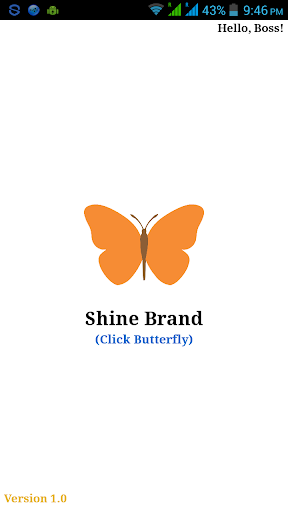 Shine Brand - LIC Branding