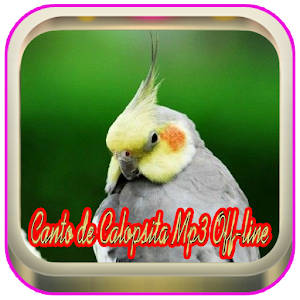 Download Canto De Calopsita Mp3 | Off-line For PC Windows and Mac