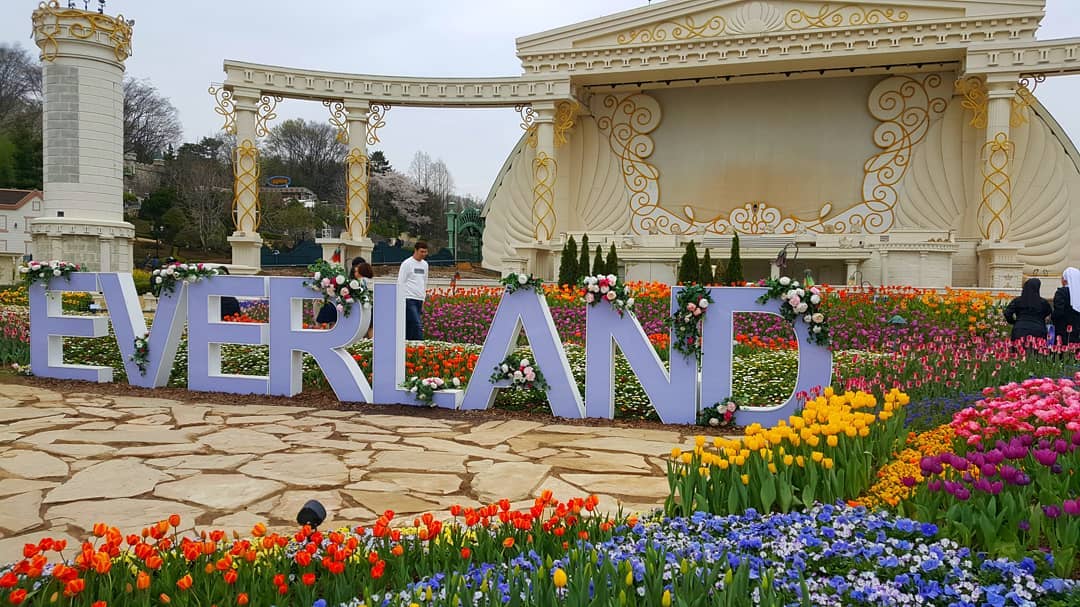 Everland Tulip Fest