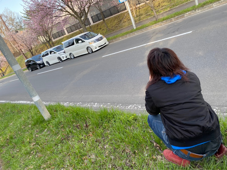 アルファードの桜とコラボ・ステッカー・アルヴェル・楽しかった・車高短組合 AL.VELL軍団に関するカスタム事例の投稿画像6枚目