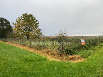 terrain à La Neuville-Bosmont (02)