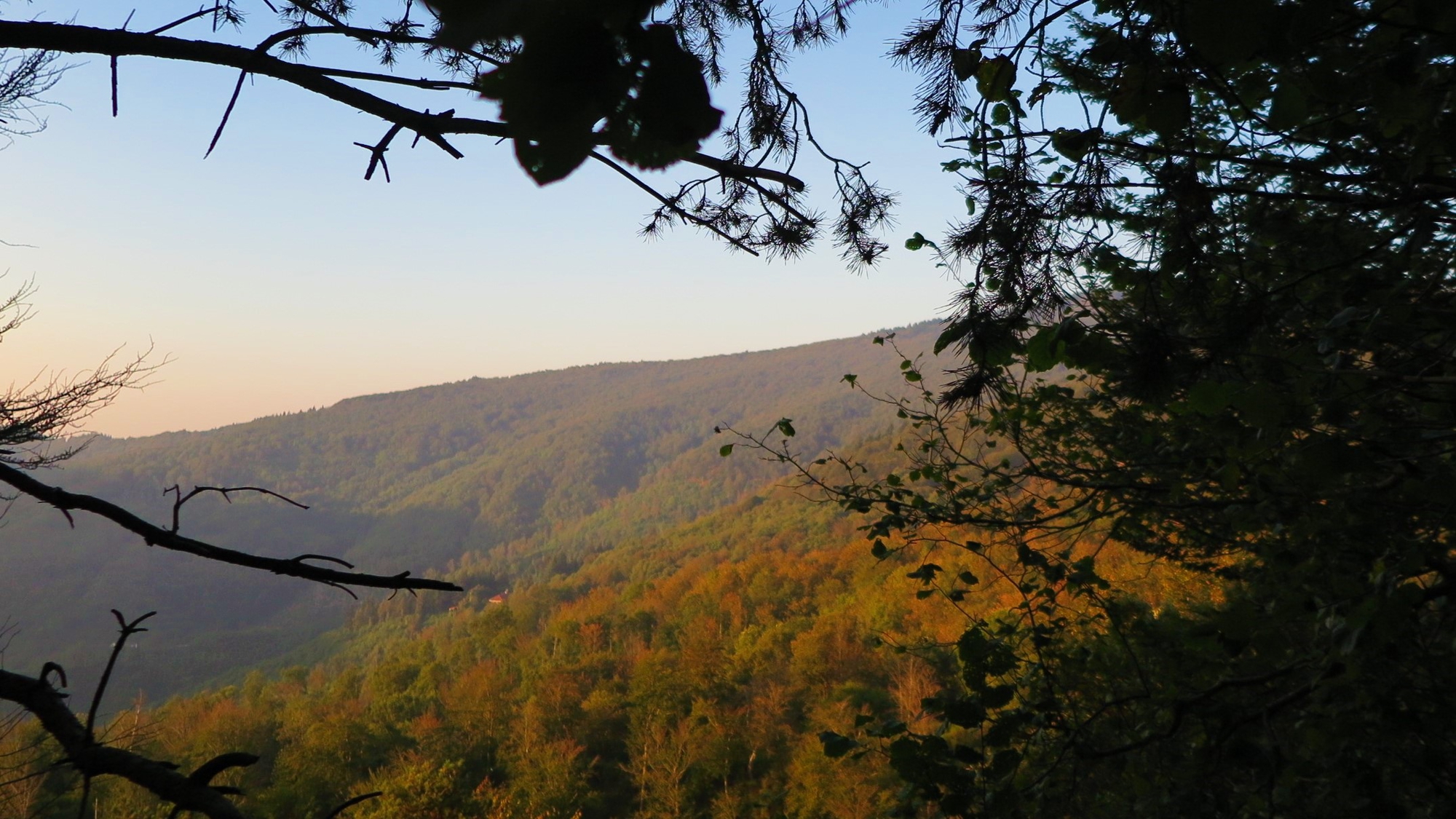 finestra sull'autunno di Piera