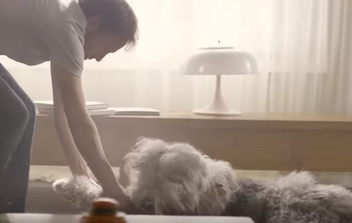 A screengrab from the Voltaren Emulgel advert showing a man dragging a dog by its front paws across the floor.