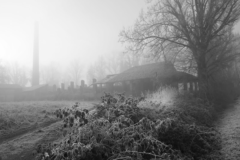 brina del mattino di PaolaTizi