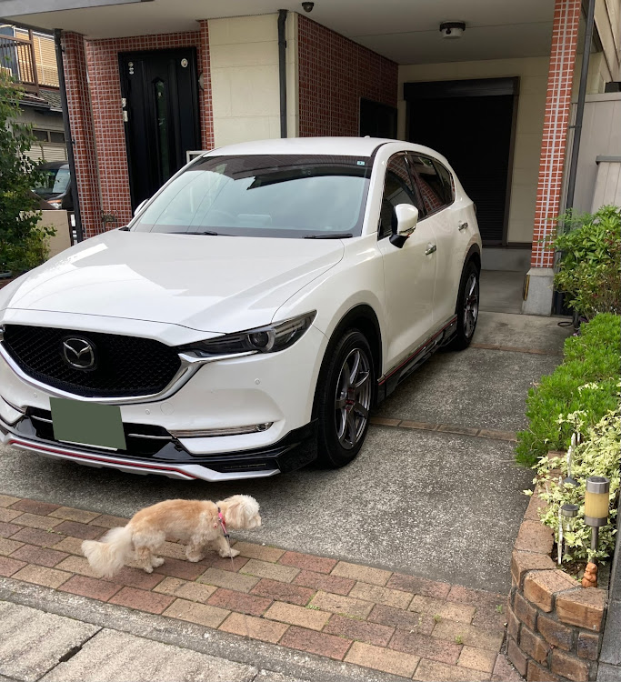 CX-5の車検どこで受けてる？・自己満足の世界・６月もよろしくお願いしますに関するカスタム事例の投稿画像1枚目