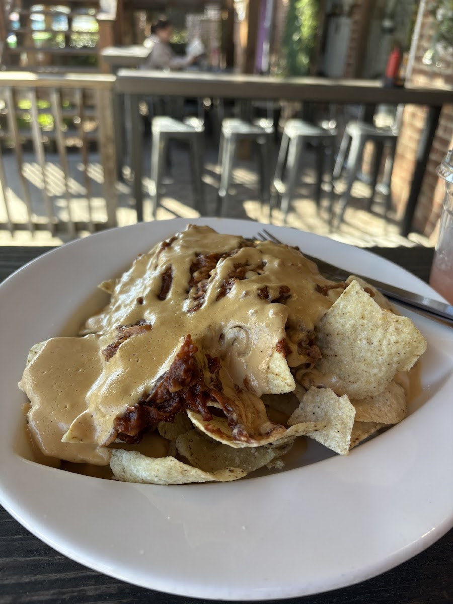 Amazing jackfruit nachos! Originally comes with slaw, onions, tomato, etc but I just got the cashew vegan cheese on it.