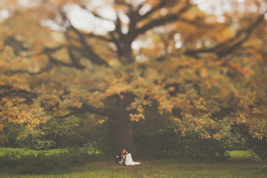 Photographe de mariage Evgeniya Batysheva (b-bee). Photo du 2 octobre 2013