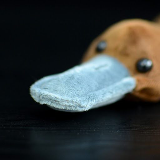 Title 5, Platypus Plush Toy Children Cute Doll Adorable ...