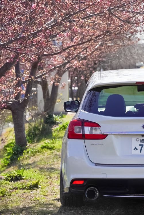 レヴォーグのハーフリアショット・河津桜に関するカスタム事例の投稿画像3枚目