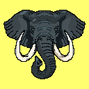 Elephant Yellow