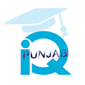 Punjab IQ icon