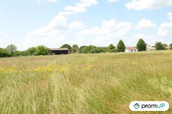 terrain à Sainte-Livrade-sur-Lot (47)