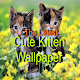 Download The Latest Cute Kitten Wallpaper For PC Windows and Mac 1.0