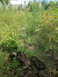 terrain à Sainte Suzanne (974)