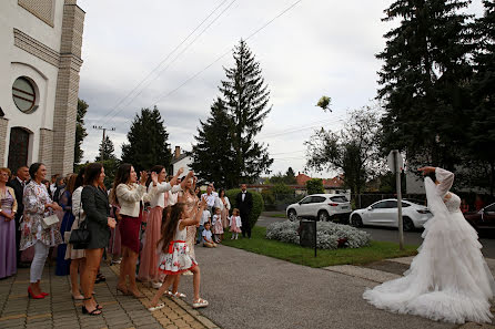 Fotografo di matrimoni Gyula Boros (borosgyula). Foto del 5 ottobre 2023