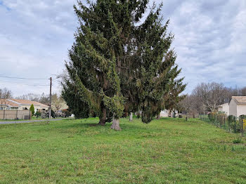 terrain à Montpon-Ménestérol (24)