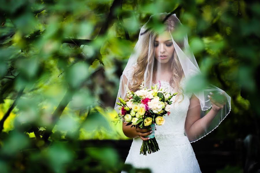 Fotografo di matrimoni Egor Petrov (petrov). Foto del 3 agosto 2016