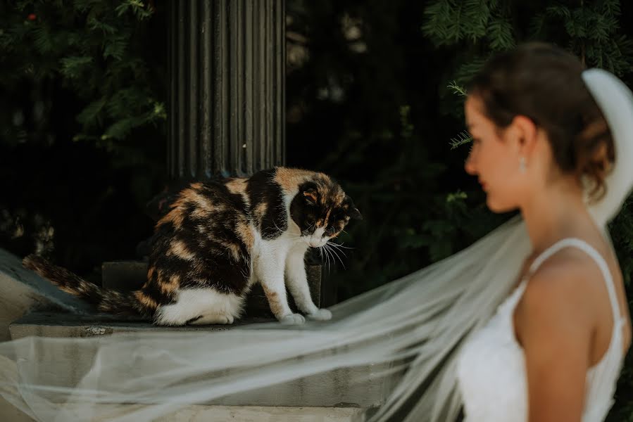 Fotógrafo de bodas Haris Mulaosmanovic (marelicaphoto). Foto del 8 de agosto 2023