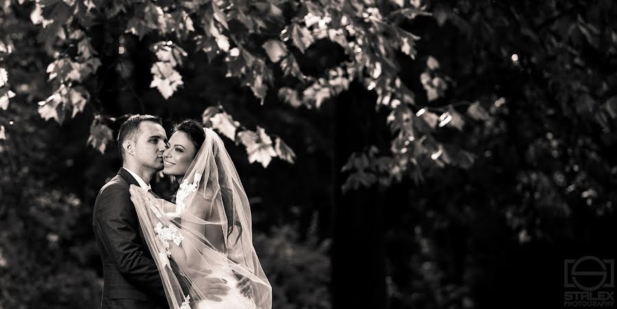 Wedding photographer Aleksandar Stojanovic (stalexphotograp). Photo of 31 October 2016