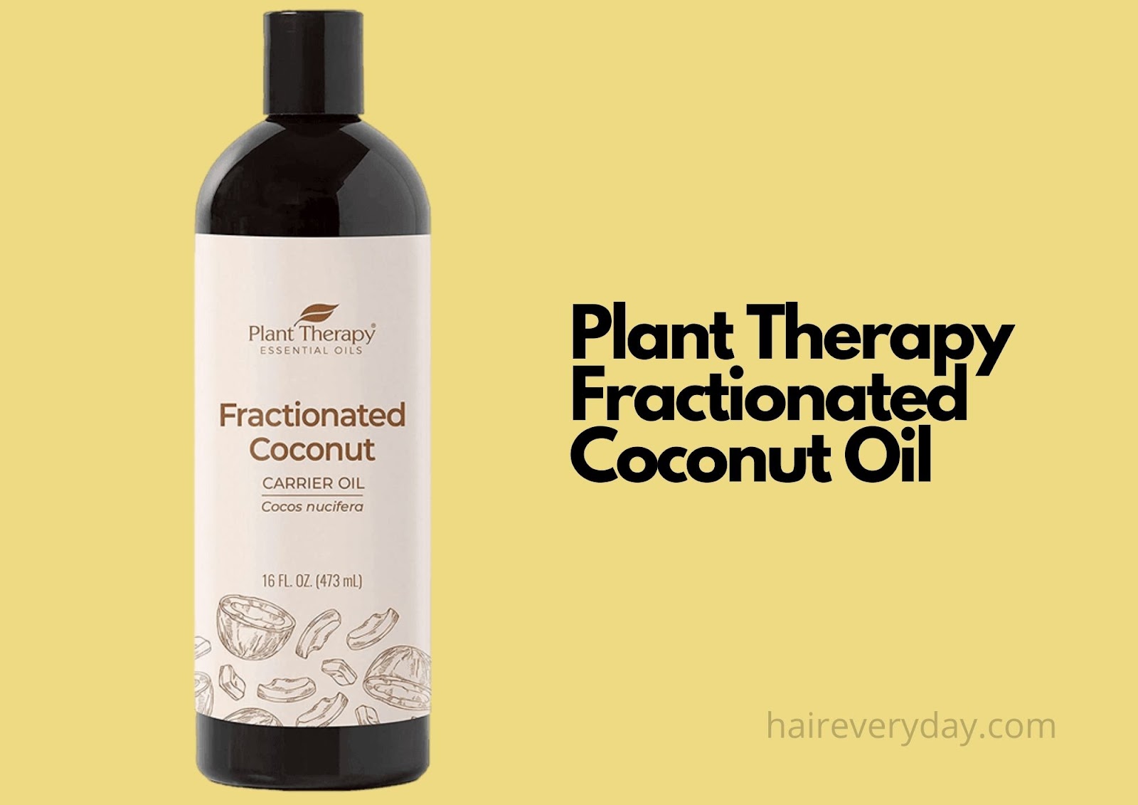 Viva Naturals Organic Fractionated Coconut Oil for Hair, Carrier Oil - 16 fl oz