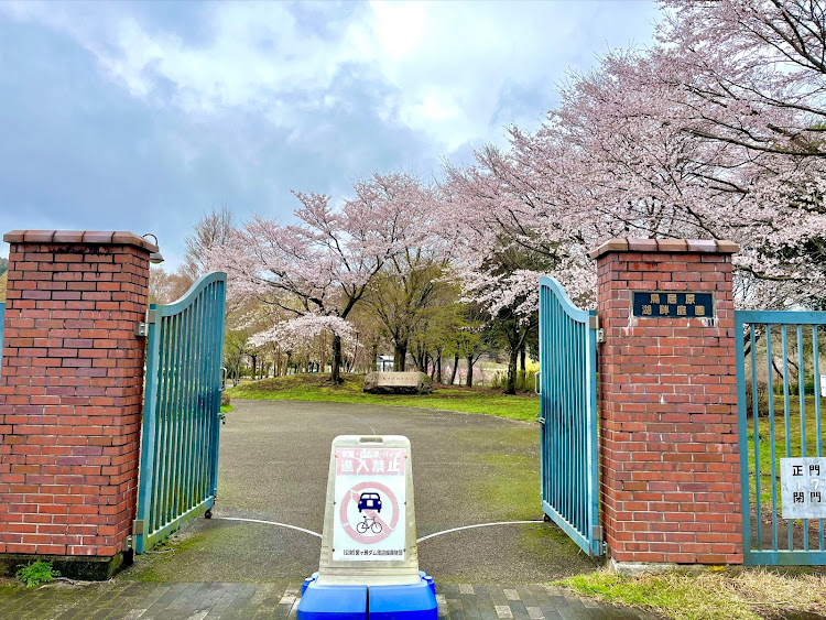 の投稿画像21枚目