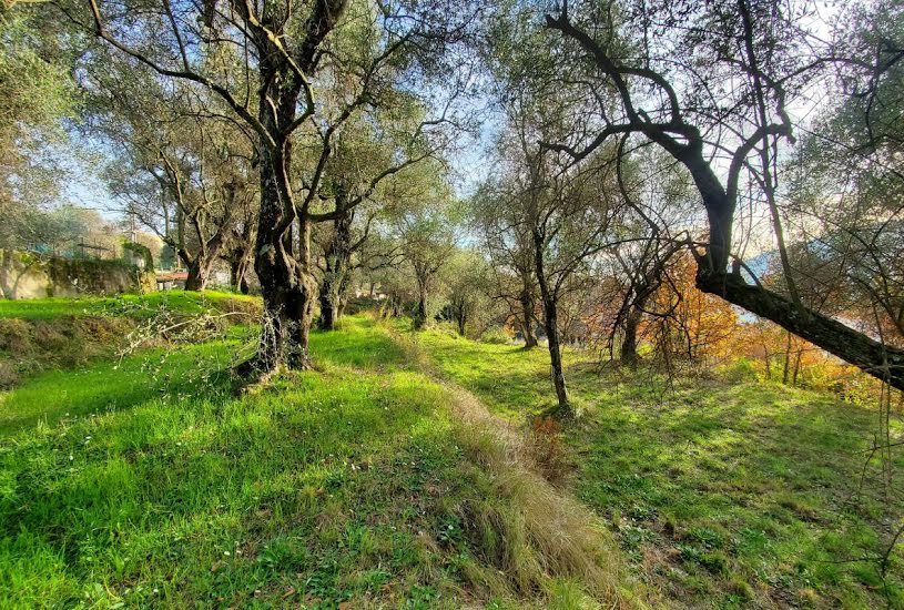  Vente Terrain à bâtir - à Contes (06390) 